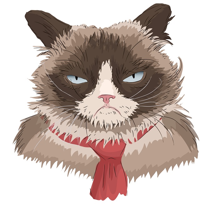Top Ten Grumpy Cat