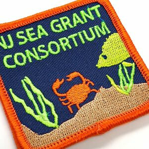 Are Custom Patches Still Relevant?