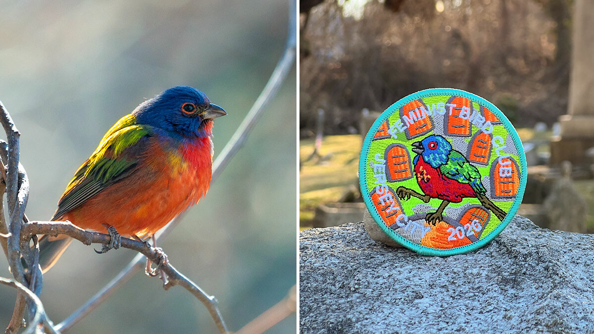 Customer Spotlight: Feminist Bird Club of Jersey City