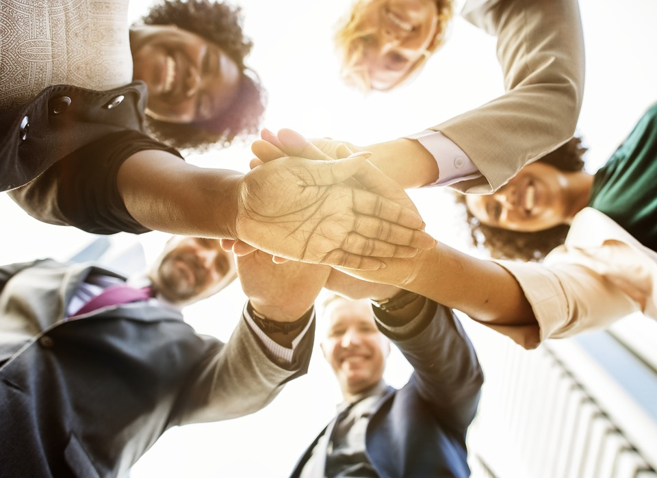 Effective Team Building: The Basics