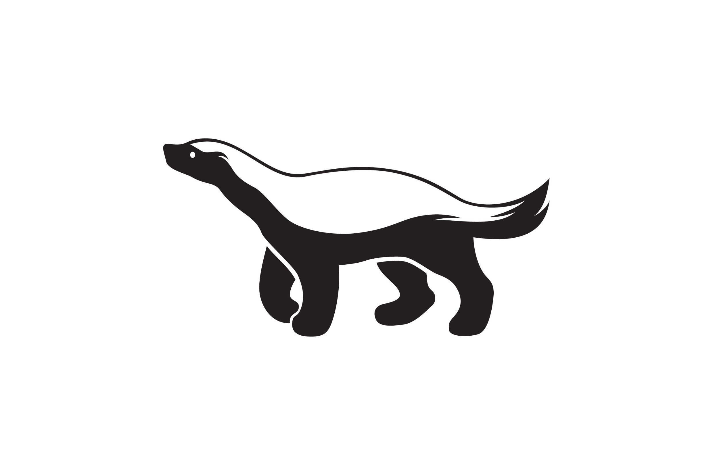 Snakes, Ferrets and Honey Badgers, Oh My!