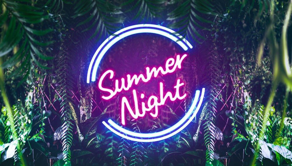 The Magic of Summer Nights