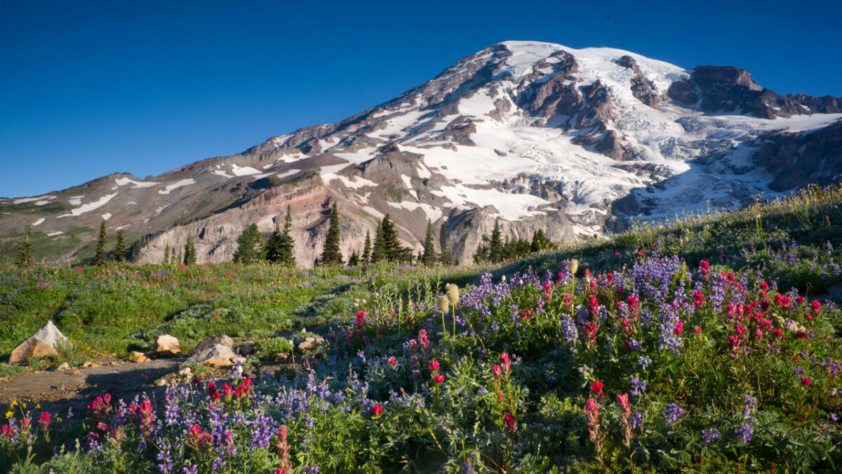 A scenic view from Mt. Rainier in Washington State.